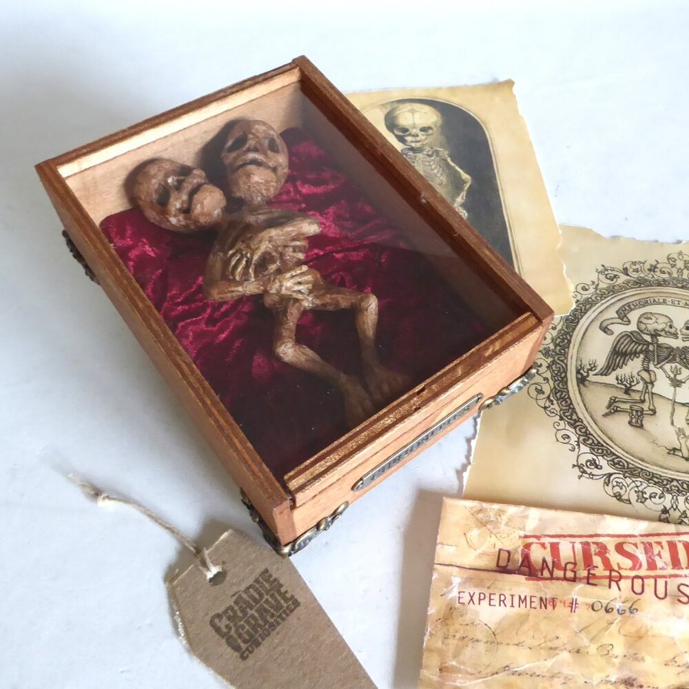 NEW MUMMIFIED FETUS SIAMESE CONJOINED TWIN ODDITY FREAK SIDESHOW GAFF